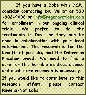 Text Box: 	If you have a Dobe with DCM, consider contacting Dr. Vulliet at 530-902-9006 or info@regenavetlabs.com for enrollment in our ongoing clinical trials. We prefer to do the treatments in Davis or they can be done in collaboration with your local veterinarian. This research is for the benefit of your dog and the Doberman Pinscher breed. We need to find a cure for this horrible insidious disease and much more research is necessary. If you would like to contribute to this research effort, please contact ReGena-Vet Labs.  