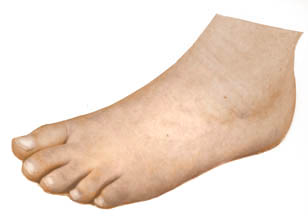 Feet are important and need to be healthy, strong and happy. At Murray