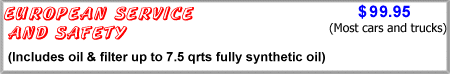 EUROPEAN SERVICE & SAFETY INSPECTION $29.95